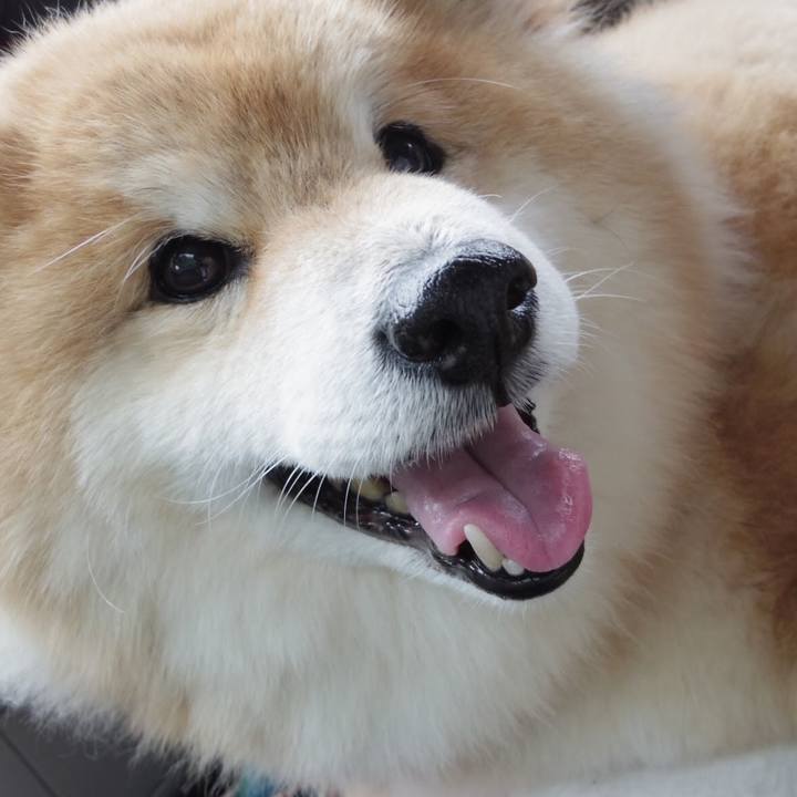 38957f5b 640e 4350 b08d f6daa86c8c2c 1510321159795