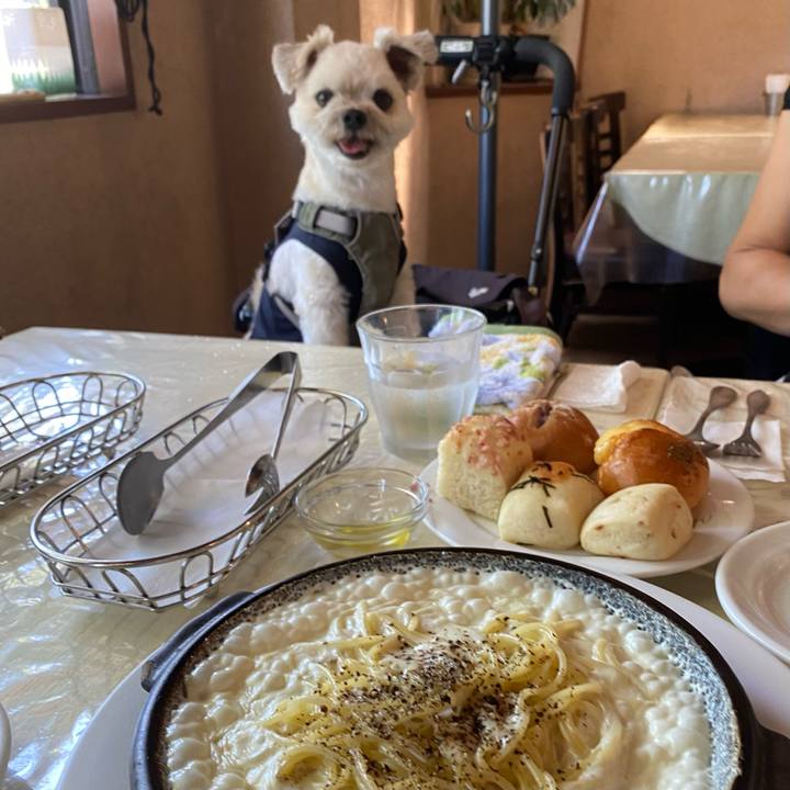 3895e9bd d95f 4fbc addd 57be5f914ab8 1660909107022