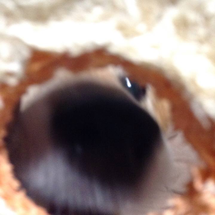 3895ef23 db51 4fd6 a753 fb1f4dadec12 1539592421017