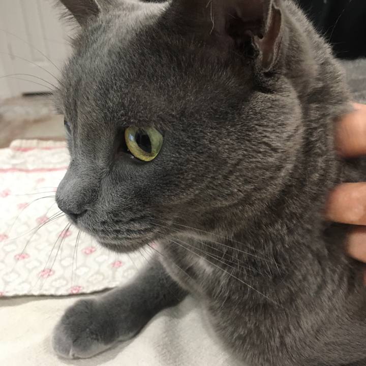 3895f1e8 aa1b 4dc2 b9a7 b34858d14ab5 1664675525722