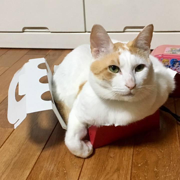 3895f9e9 bd65 4a5c b7ad 09a764fc3f32 1524321250501