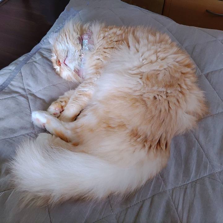 3895fa48 b608 42ff 837e ba5697c30d12 1723951340266