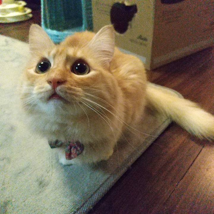 389638cd 7ac9 4ad1 b874 4463707d529b 1643062217604