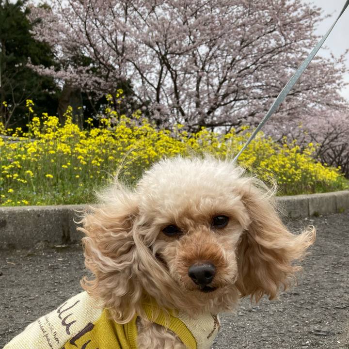 38965aaf bef6 4c2e 9da6 c9acda5383f4 1648449218370