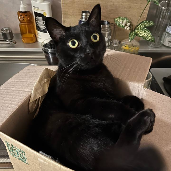 389669b1 f495 4671 b544 3eab8077d031 1715681629769