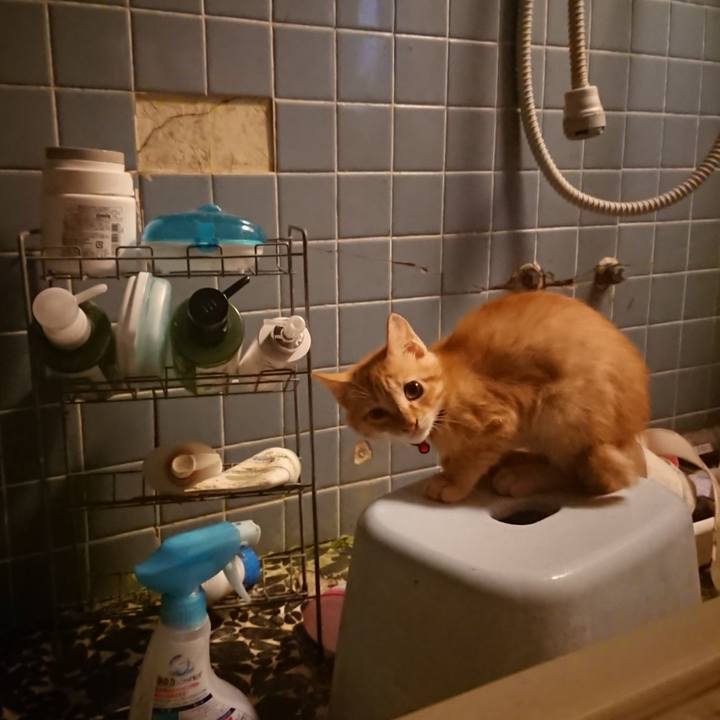 3896bbc9 52a1 4266 9552 c414c8981a22 1630922741271