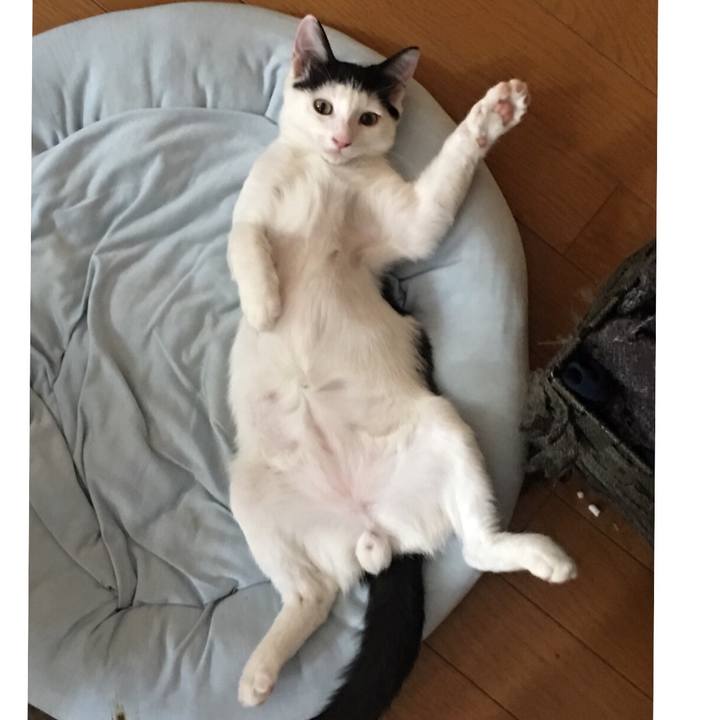 3896de62 41b0 4fcc 8c55 026a837d6ca9 1535077575861