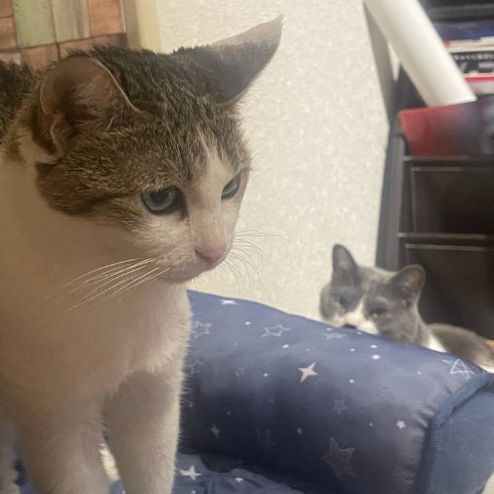 3896dee8 f2e1 4925 ac03 f9d297b154e0 1634564938561