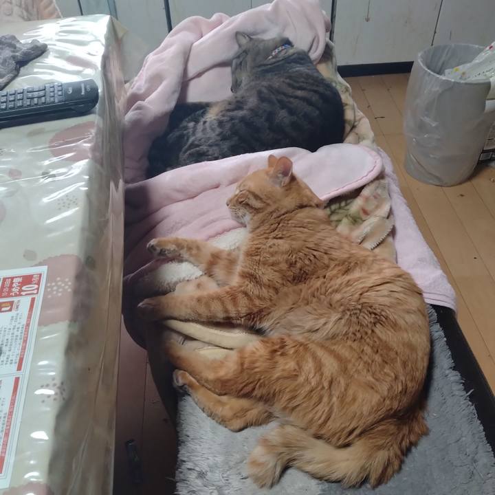 3896dff3 6a37 470a badb 350c925bfae6 1676590464815