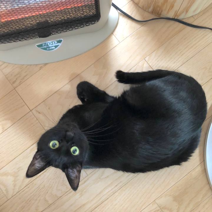 38970af2 1aca 4944 adaf ca8d4c24366d 1544497399212