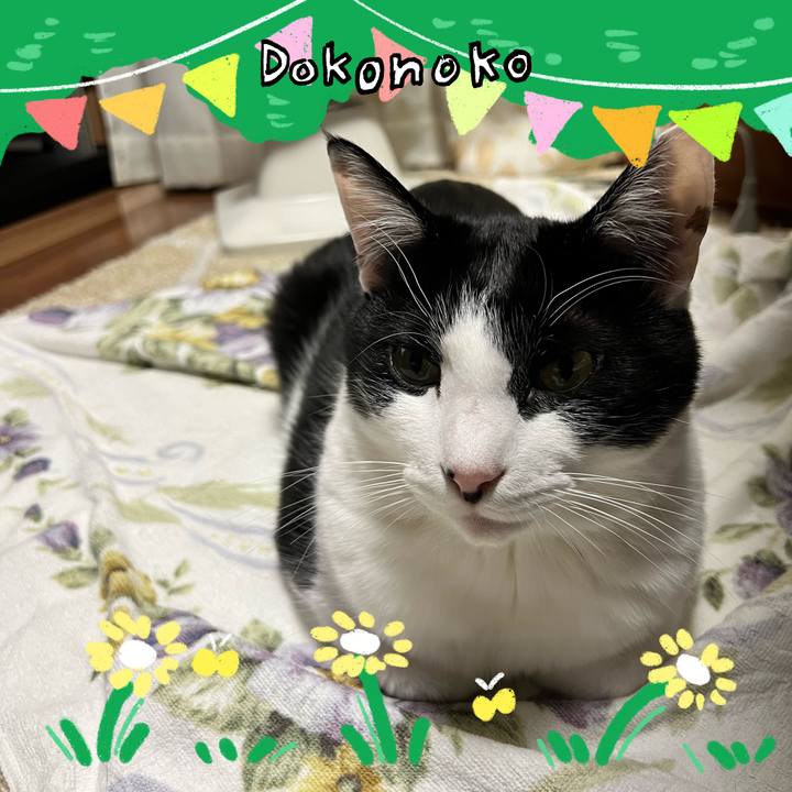 38977f84 5fd8 423e 923e 873655fb1ffb 1711286462881