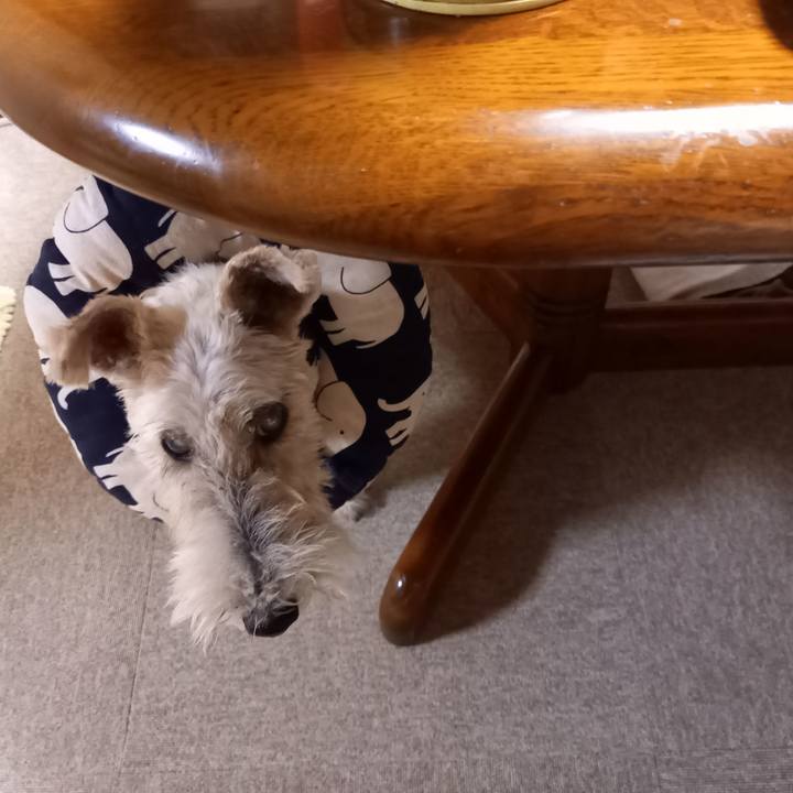 389789c5 0f75 477a 8577 d52513eb8b6f 1632837693537