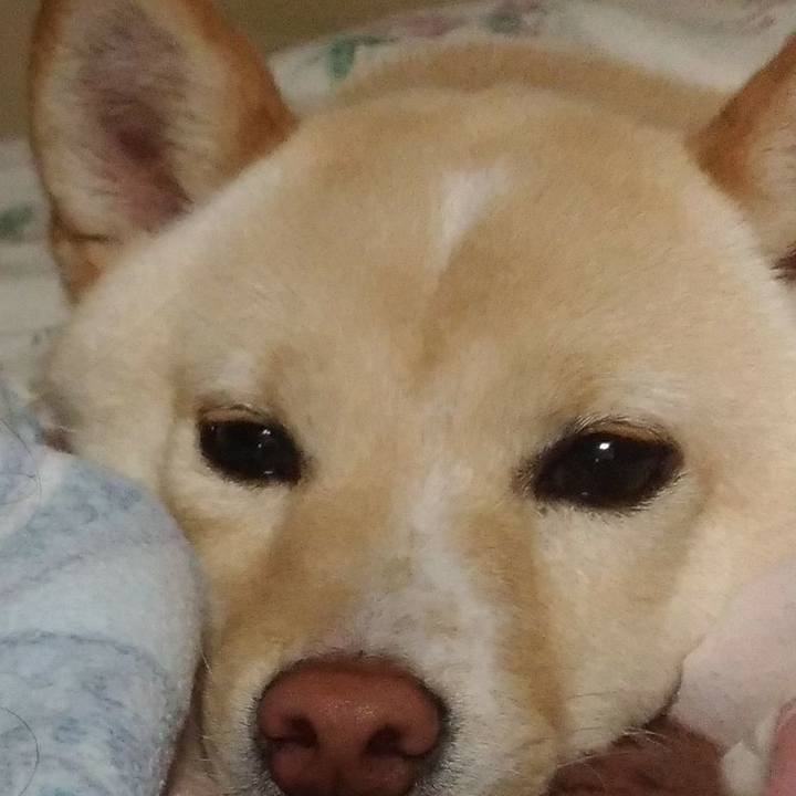 3897db45 b0d3 4b5f b163 0a0110e0e3f1 1518871695778