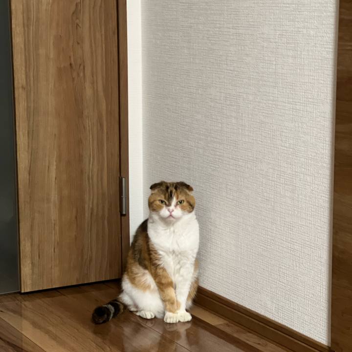 38987686 dd4d 4ffa 8ac1 b47ce1d97cac 1692537615126