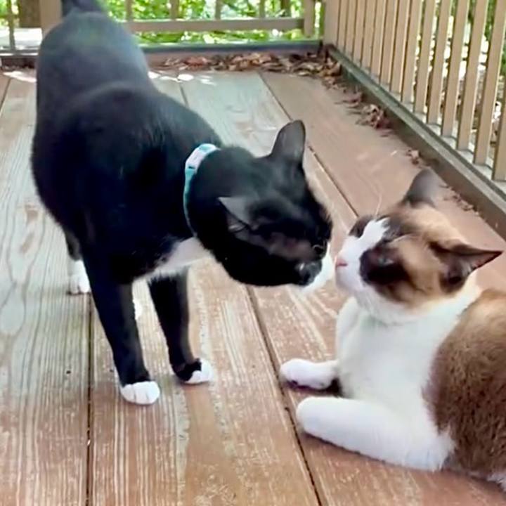 3898953f cf5c 4198 9290 8ed076473ed6 1753925239590