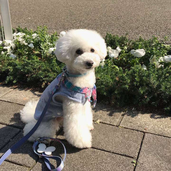 38989cb0 ce02 4da1 ba5c 66af9de23dfd 1522143641248