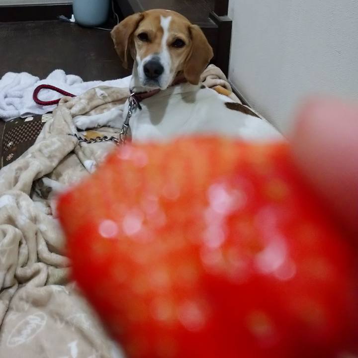 3898a954 3ba6 4753 9494 bb8c21c44502 1582203257041