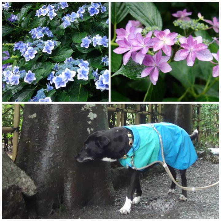 3898d322 7f41 476e 8a00 111dcb99d7b1 1686530330202