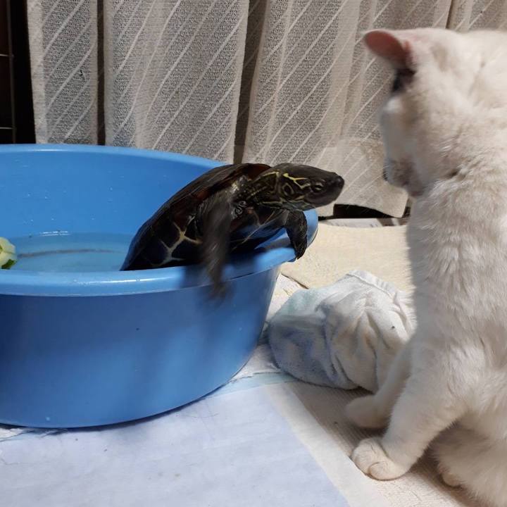 3898d751 3519 48df a028 dd805c202840 1661765535904