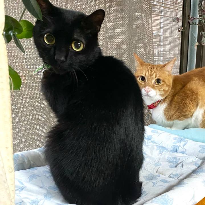 389906fa fc1d 4654 94f3 c124a8ea3a86 1717120224183