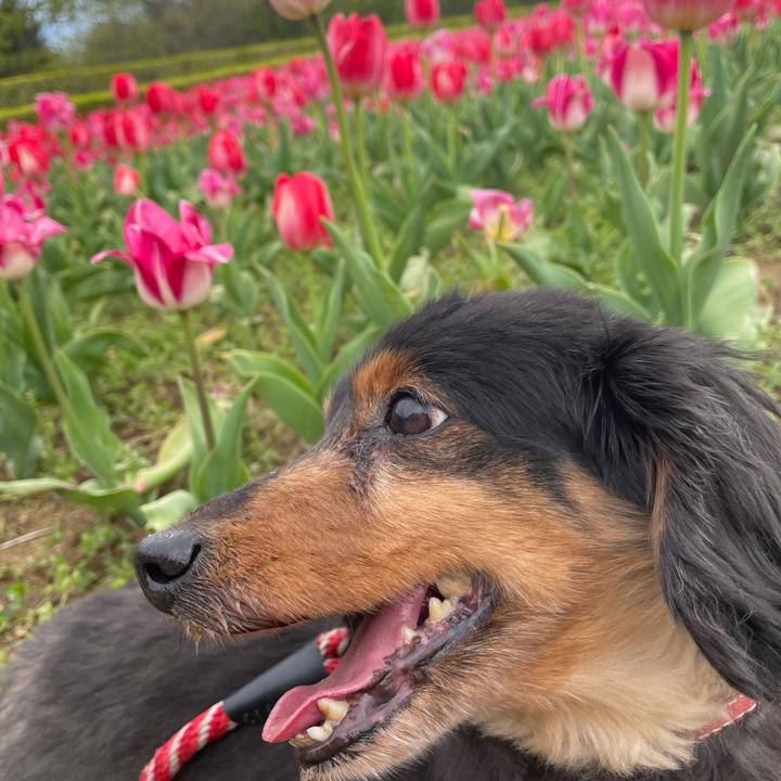 389909d8 34cf 45b8 9c17 896c3cfbcd3a 1619854045466