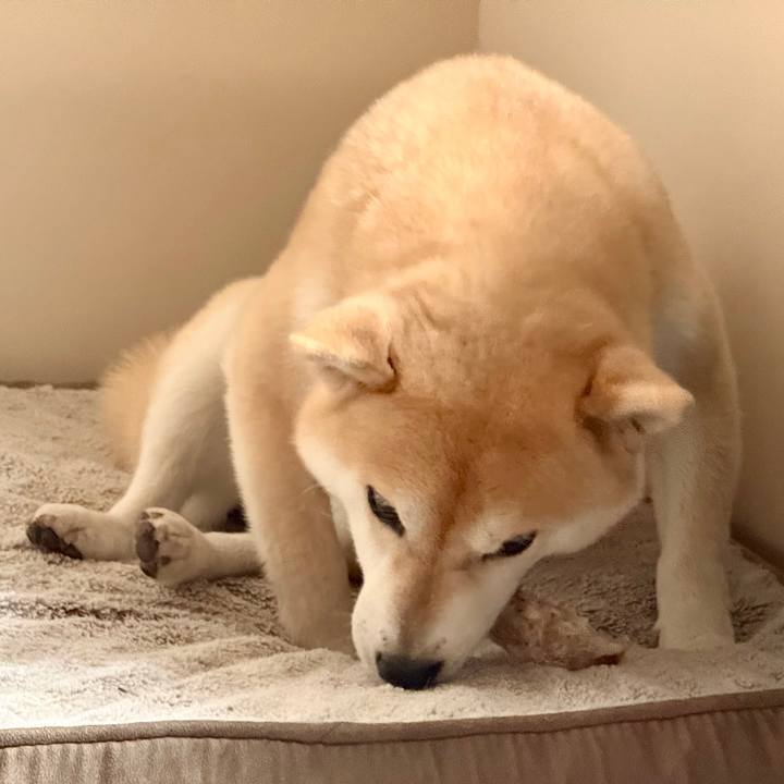 389923e2 3134 4b15 b861 e263f975b174 1774404483009