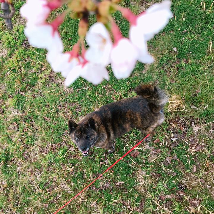 389931b2 709c 456d 9453 1bd40be2b518 1554701211459