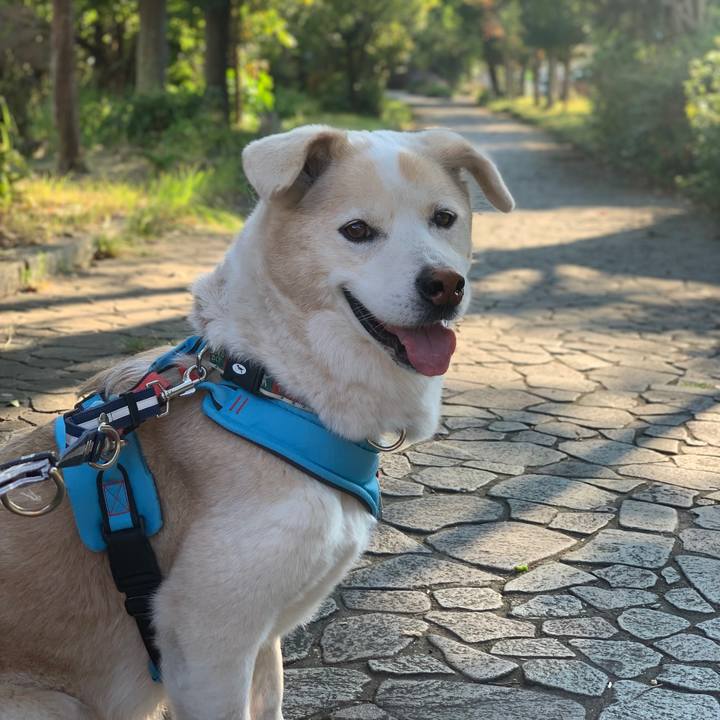 3899595c f495 4446 b330 7fadbc1951cd 1664673963551