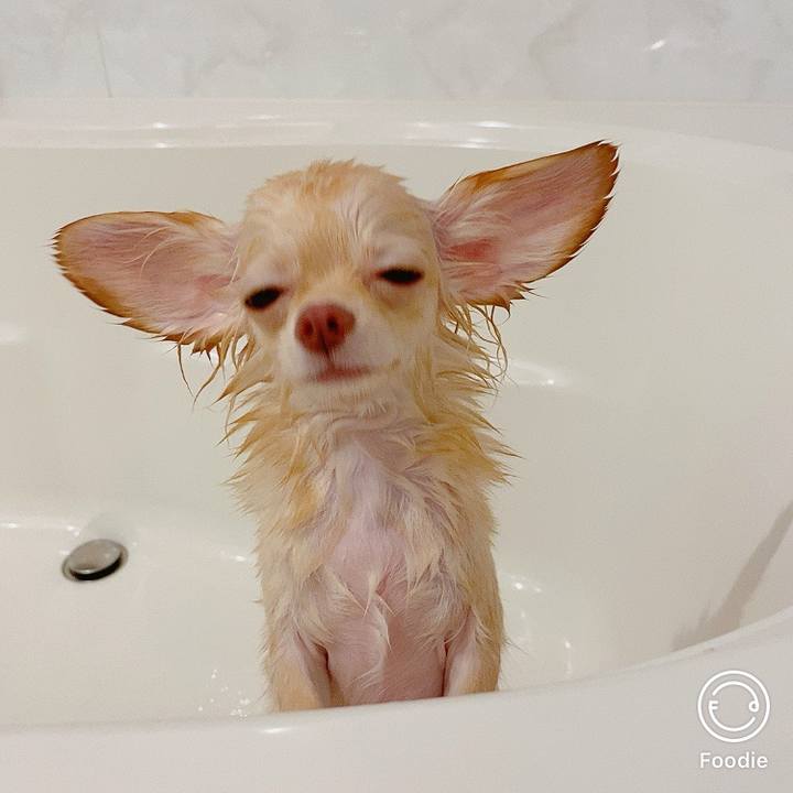 38997e9c f699 447c 8f58 1830e1f2d99b 1599706223105