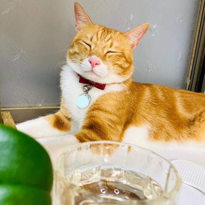 389981cd ceed 4462 acdf f64635dd20ea 1688296217720