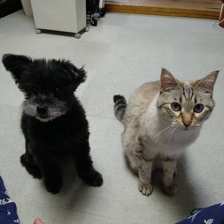 3899e466 ad12 466e 8293 bf01e844173b 1719227033027