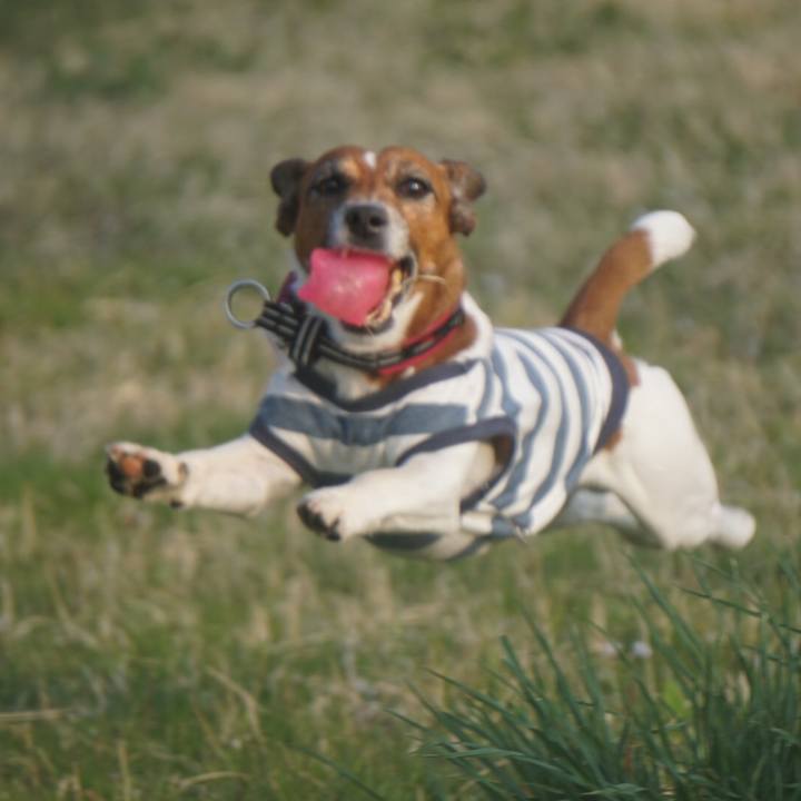 389a47fe 4118 489d 9502 74860b7bdb64 1586126485904