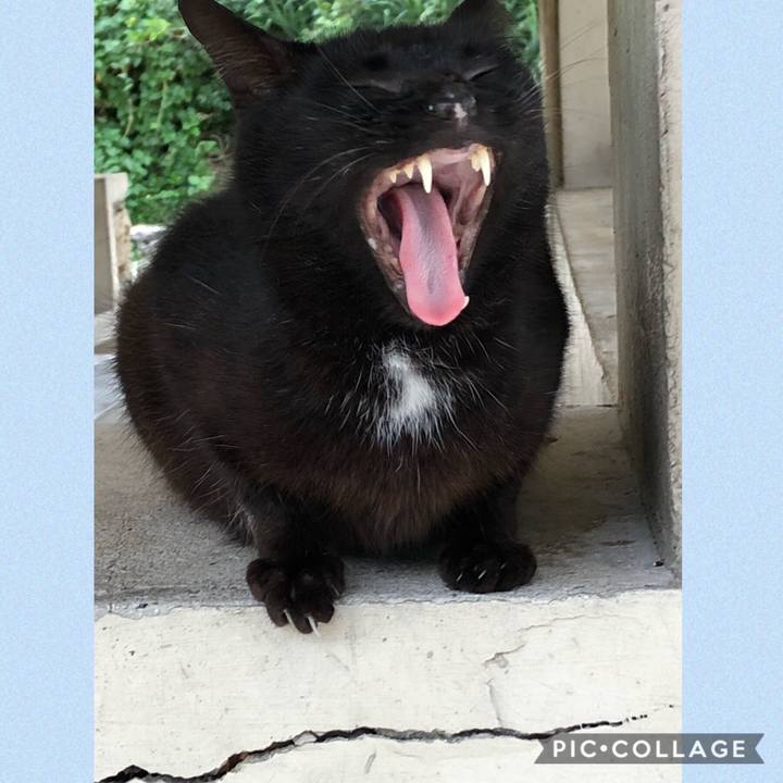 389a7214 1bca 4aed b81f 729e310ec8cd 1543915626947