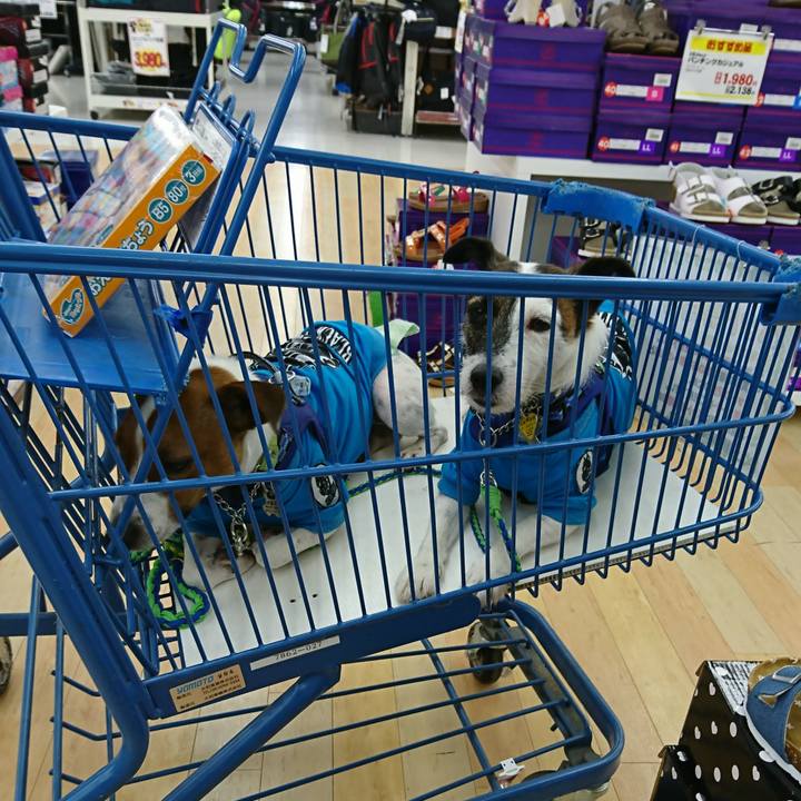 389aaa89 f707 4e1c 8690 6e8210c8c16c 1560242487695