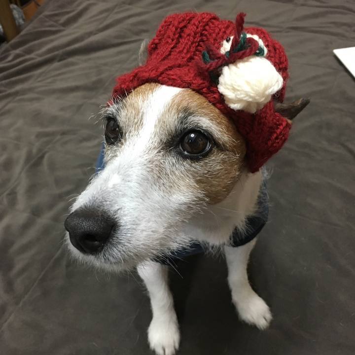 389ac8fa e210 41b0 b0ee 14edc48d2875 1577142459679