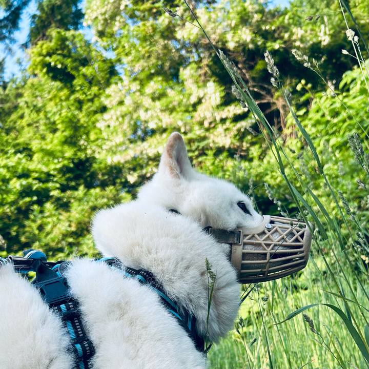 389acd03 2fe1 4b6e 9a39 2d00e14ea555 1749934434506