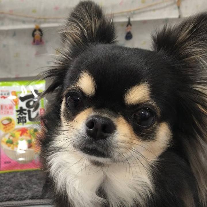 389ad1a3 b2f0 4983 bd45 58c606df53e1 1583206482564