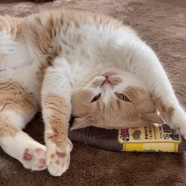 389ae2ab 0431 47eb 85b2 ee774f49d6b0 1602922422672