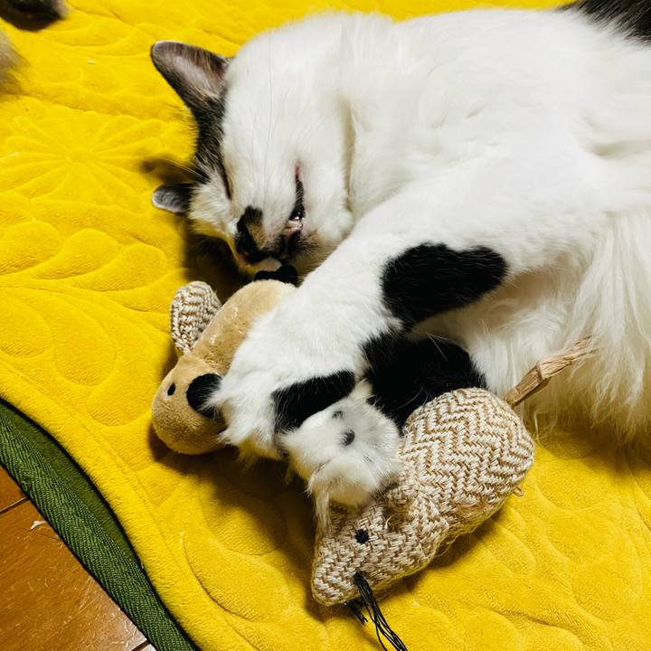 389ae3d1 2ad9 43c7 b98e a6007e14c5fe 1746797632994