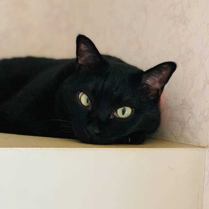 389aeb1c 0d91 4e06 9dc8 fd9b8be64ded 1562893486701