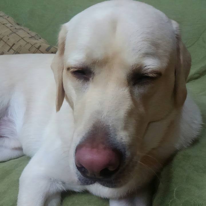 389b1182 e816 44a0 bbba 51c555a4f931 1511271964069