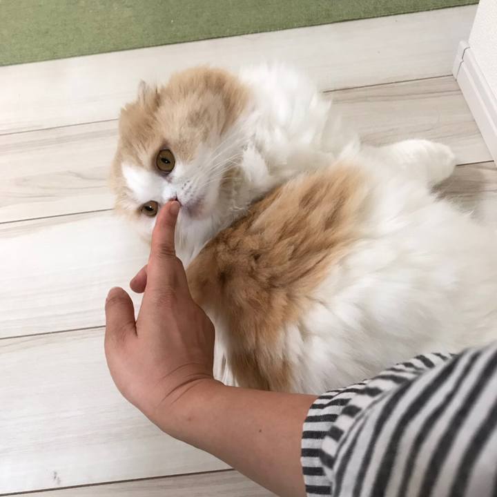 389b2e9f 66fd 47f9 aadb f402db35895f 1594909118792