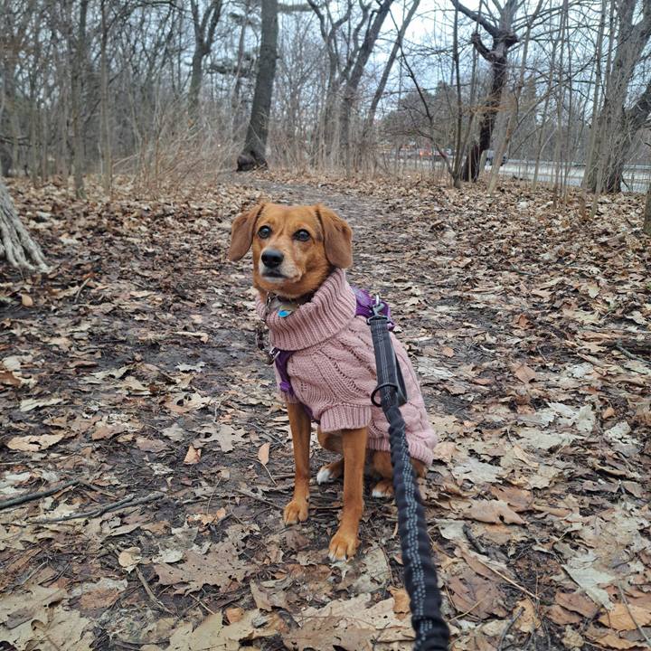 389b36be 3758 4e78 bf60 d9118a812831 1774280283297