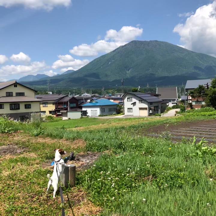 389b3a81 e36c 411e 9541 476b95b07fee 1528455841366