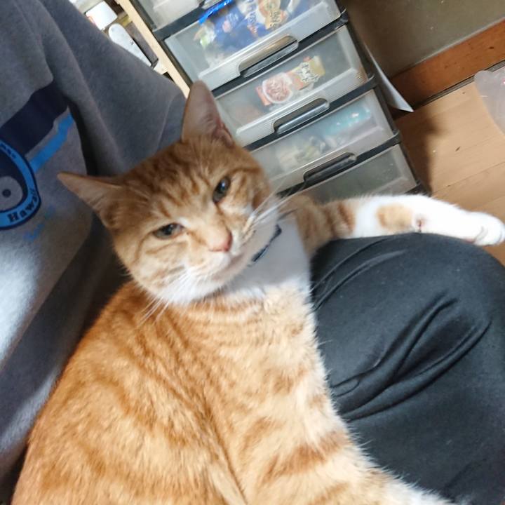 389b4b2f 2e82 46bf a3fa d78aab1fd642 1605607003667