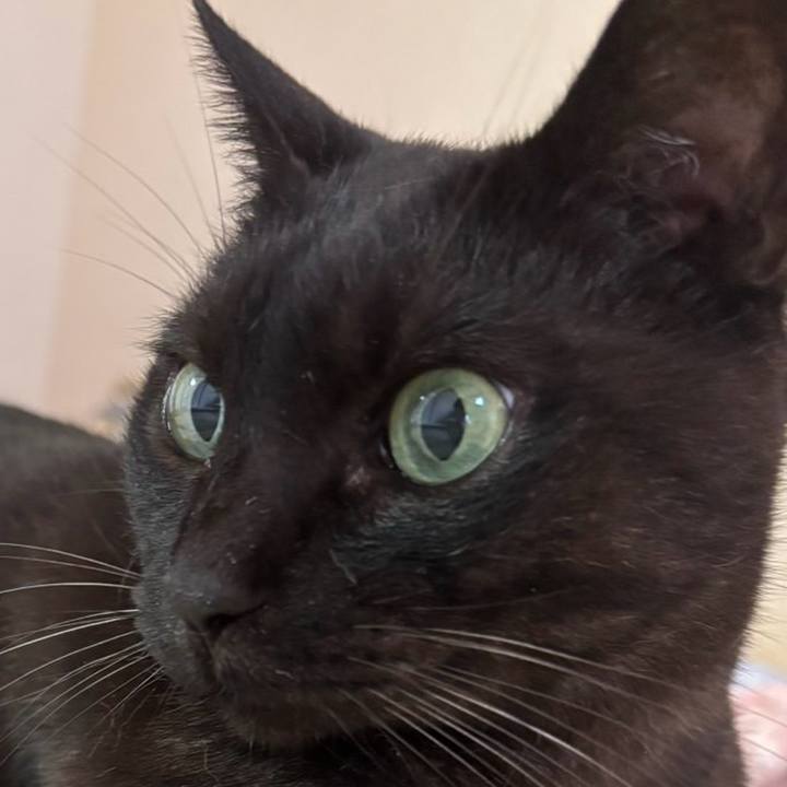 389b5bf3 e422 4048 a417 6732c9cbe713 1759529420250