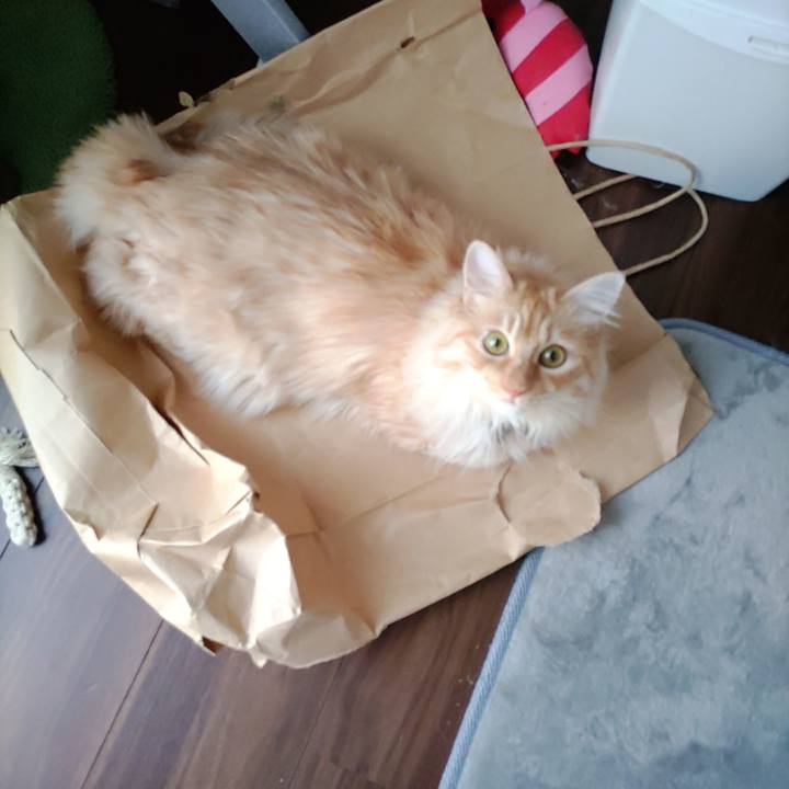 389b5ed1 63e3 49ed 83b9 470239586a8f 1653796354823