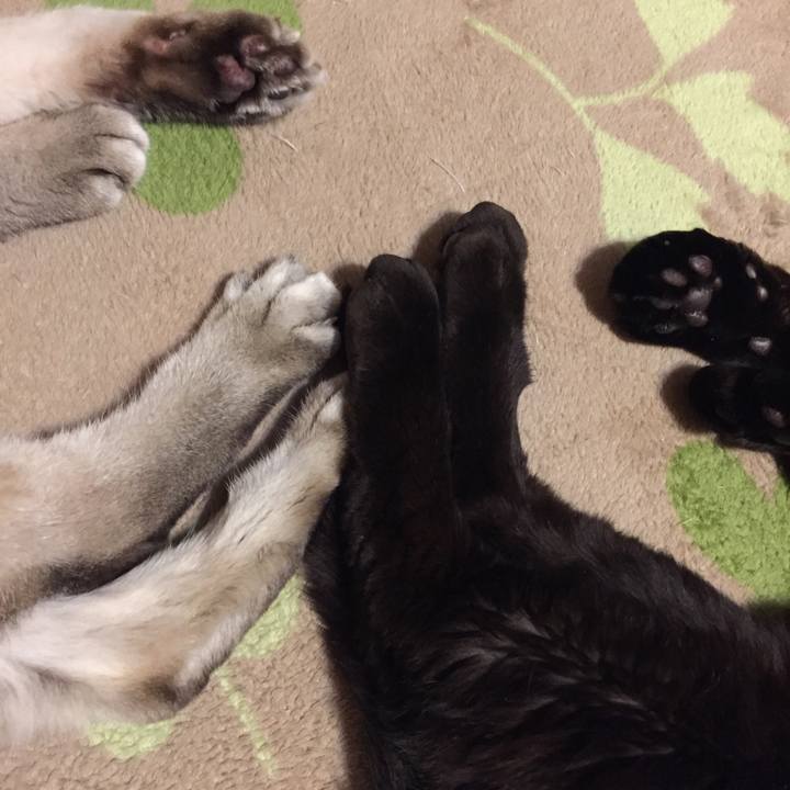 389b9385 c0ac 4e11 a511 2f212541578c 1554118498805