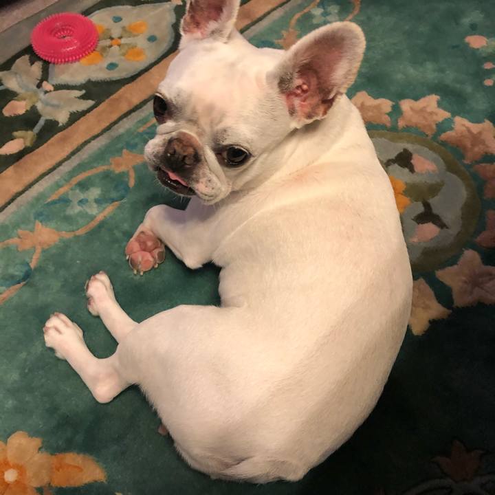 389b9acb 56aa 43d0 a712 07f7f083fcfa 1591452956967