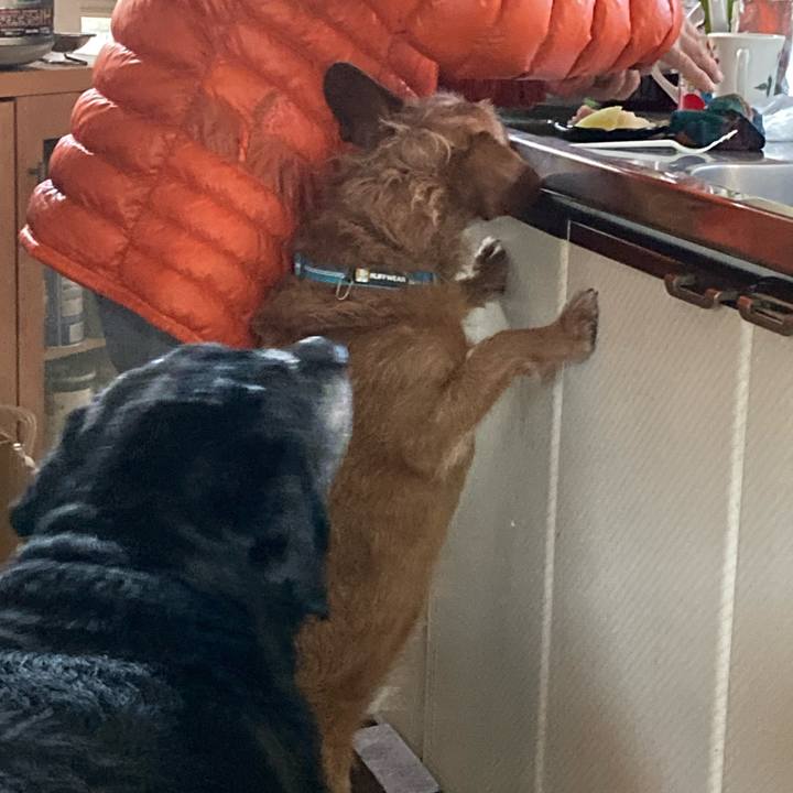 389bab99 ce24 4a2d a58d 6bad5070970e 1680419320394